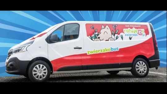 Puławska fundacja walczy o "zwierzakobusa" do przewożenia zwierząt. Potrzebne głosy
