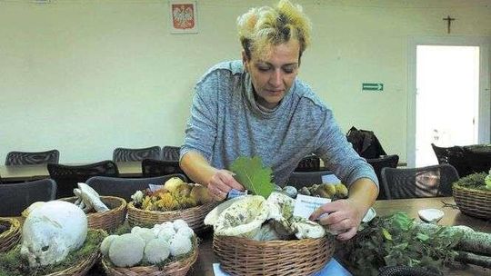 Puławski sanepid zaprasza dziś na wystawę grzybów