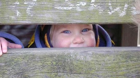 Puławy: 500 złotych na dziecko pochłonie 45 milionów rocznie