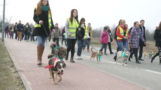 Puławy. Bieg na dwie nogi i cztery łapy