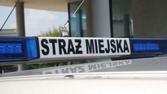 Puławy: Coraz więcej osób korzysta z nowej usługi Straży Miejskiej