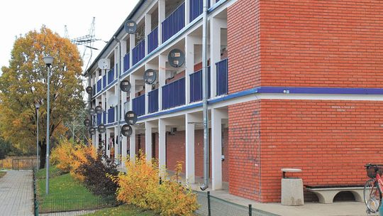 Puławy: Dłużnicy zaczęli pracować na rzecz miasta. Jedna osoba odmówiła „ze względów kulturowo-religijnych”