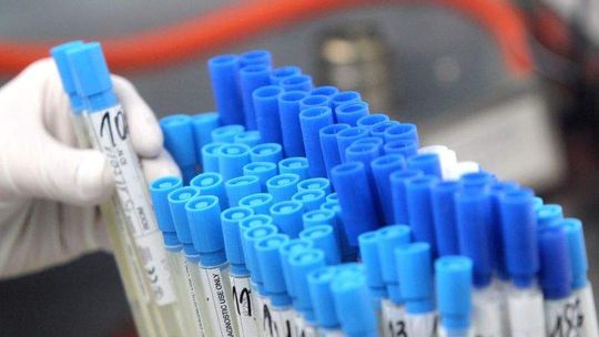 Puławy inwestują w naukę. Powstaną nowe laboratoria