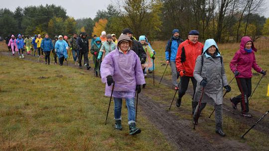 Puławy: Jesienny Rajd Nordic Walking