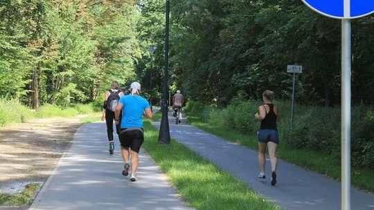 Puławy: Kamery w lesie będą droższe