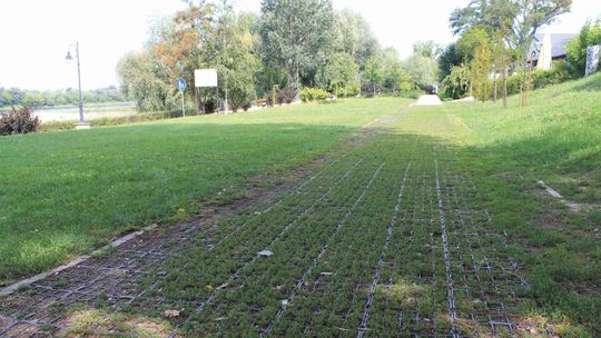 Puławy: Kolejne podejście do obywatelskich projektów