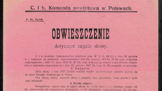Puławy Ku Odrodzonej: Pod c. i k. okupacją
