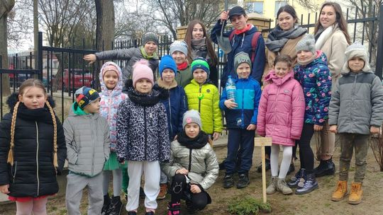 Puławy: Licealiści sadzą drzewka przy szkołach i przedszkolach
