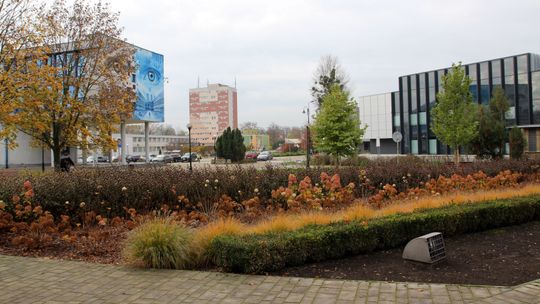 Puławy liczą na miliony z Polskiego Ładu