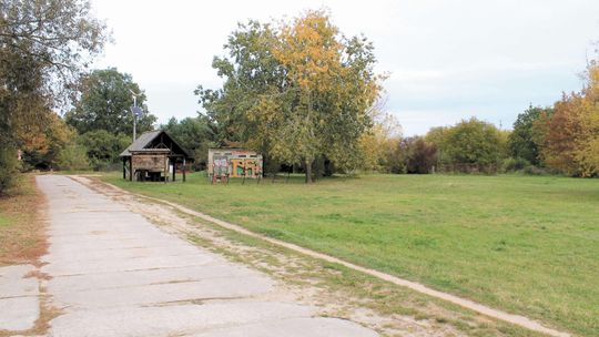 Puławy: Maćkowy Dół czeka na zmiany, co powinno tam powstać?