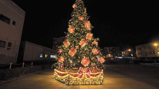 Puławy mają nową choinkę