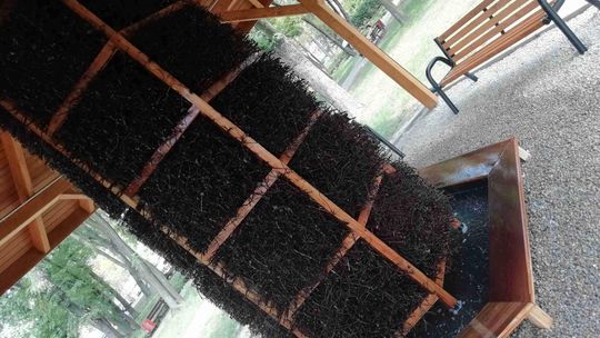 Puławy: Mieszkańcy chcą budowy tężni solankowej 