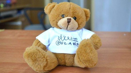 Puławy: Miś i ramka od miasta