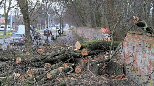 Puławy: Najpierw oszpecili go grafficiarze, a potem na zabytkowe ogrodzenie spadło drzewo