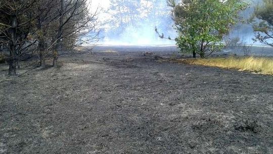 Puławy. Największy pożar od lat, ogromne straty