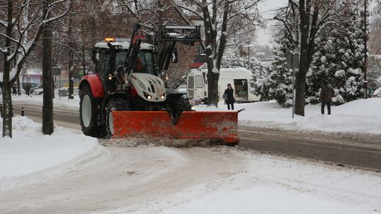 Puławy. Nierówna walka z Brygidą