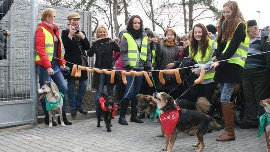 Puławy: Nowe schronisko dla zwierząt już otwarte