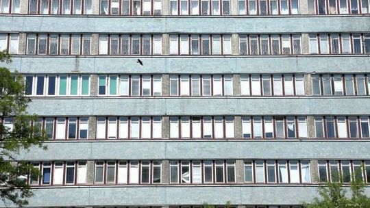 Puławy. Oni będą doradzać w szpitalu