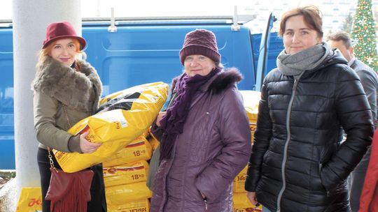 Puławy: Ostra walka o suchą karmę dla zwierząt