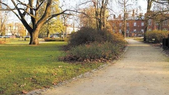 Puławy: Po deszczu ścieżki na skwerze zmieniają się w błoto