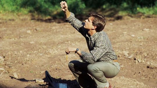 Puławy: Powiatowy geolog potrzebny od zaraz 