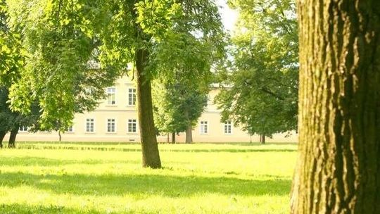 Puławy: Poznaj zieloną przestrzeń miasta