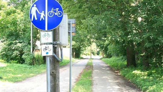 Puławy: Przez las równą ścieżką. Ale nie do końca