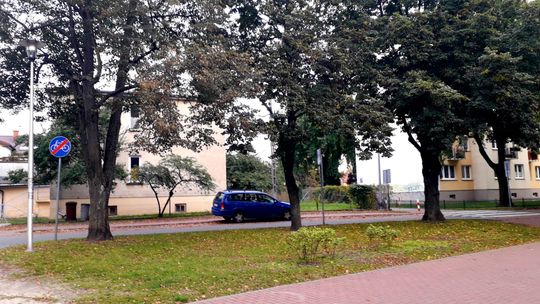 Puławy: Przy tych ulicach powstaną nowe miejsca parkingowe. Duże drzewa mają ocaleć