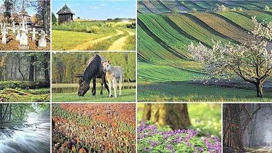 Puławy: Roztocze na placu Chopina