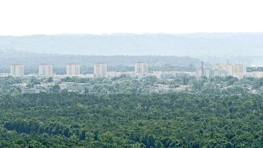 Puławy. Rozwój miasta czy wycinka lasu?