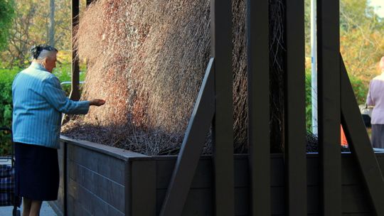 Puławy: Solankowe inhalacje dłużej niż planowano