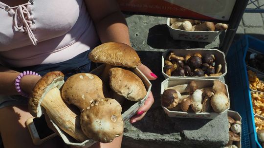 Puławy: Szukają miejsca pod nowe targowisko