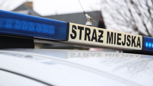 Puławy. Udało się znaleźć nowych strażników