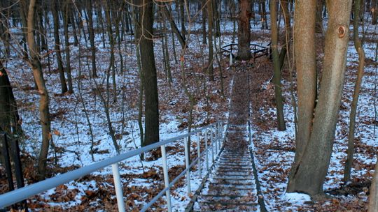 Puławy: W tym miejscu odbywały się egzekucje. Znaleziono łuski z karabinów