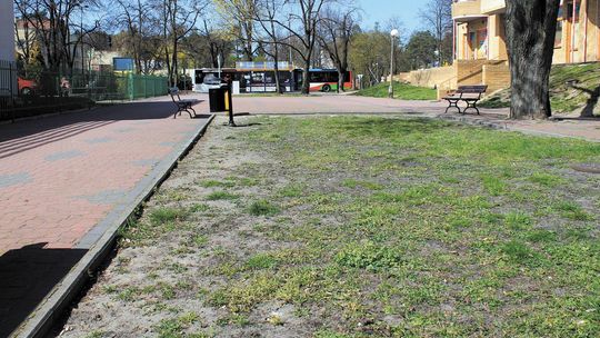 Puławy: Zaprojektują nowy skwer