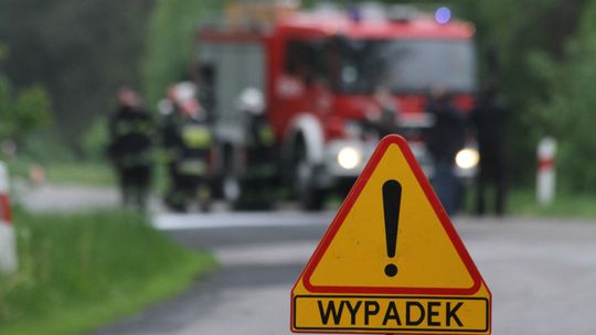 Puławy: Zderzenie passata z łosiem