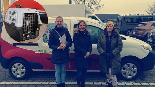 Puławy: Zwierzakobus z pierwszym pasażerem