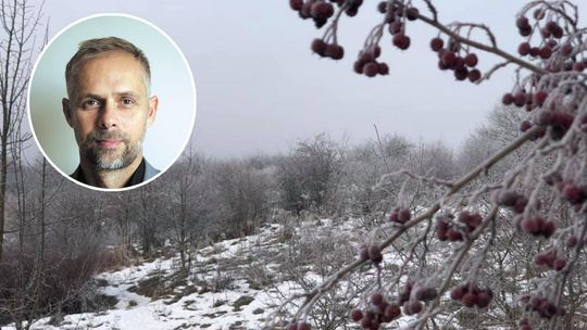 Pytanie o pytanie w sprawie górek czechowskich