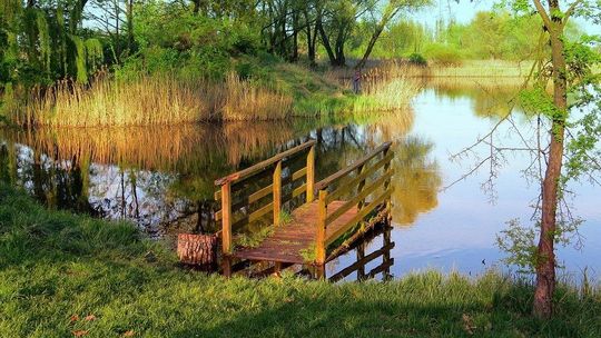 Raczej nad stawy niż do Złotych Piasków. Na wakacje jedzie niewielu i niedaleko