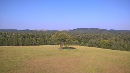 Rada naukowa mało naukowa. Kontrowersje wokół Roztoczańskiego Parku Narodowego