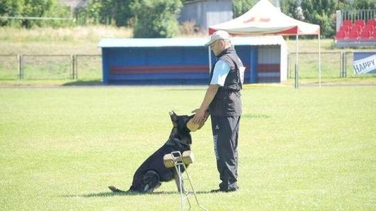 Radawiec Duży: zawody z tropienia i gryzienia