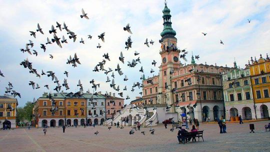 Radiowa "Czwórka" będzie nadawać z Zamościa