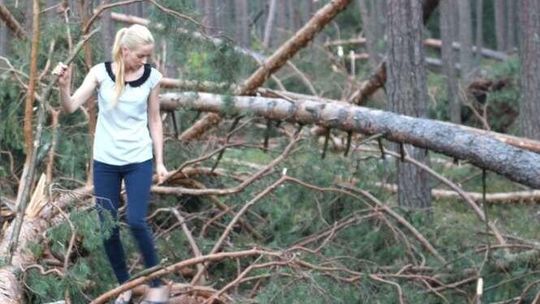 Radna interweniuje po huraganie. Starosta: Chodzi o interesy ludzi czy o wybory?