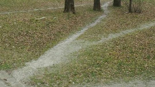 Radna PO prosi o patrona dla skweru