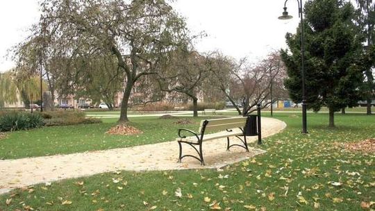Radni nie zajmą się sprawą nasadzeń na Skwerze Niepodległości w Puławach