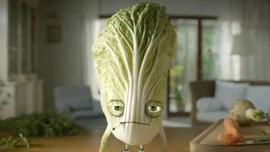 Radni z Zamościa: Biedronka robi z nas buraków