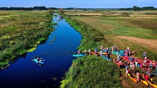 Radny chce więcej jazów na rzekach. Wody Polskie rozkładają ręce 