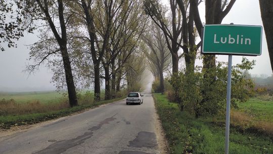 Radny Lublina ma pomysł na zwiększenie bezpieczeństwa: wyciąć topole