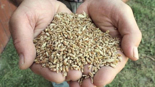 Radny prosi o medale dla rolników z Lublina