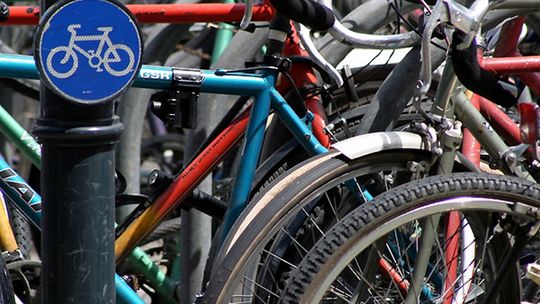 Radny pyta o psy na ścieżce rowerowej